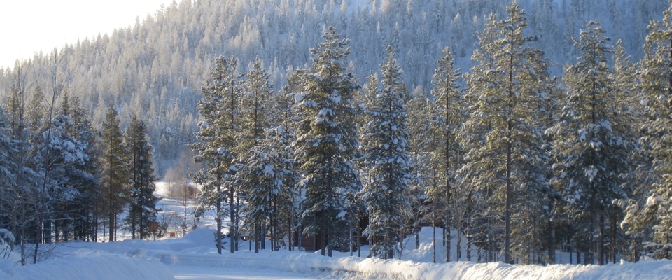 Want to work in Finland?