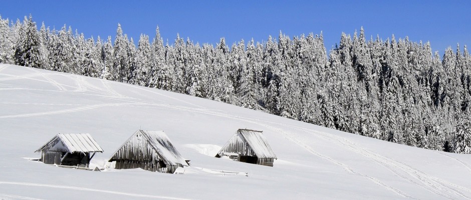 Latest ski & snowboard news from around the world Latest ski & snowboard news from around the
world